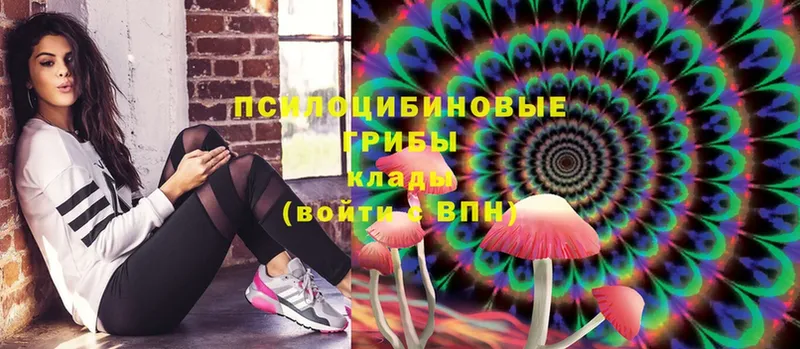 Галлюциногенные грибы Magic Shrooms  ОМГ ОМГ как зайти  Туймазы 